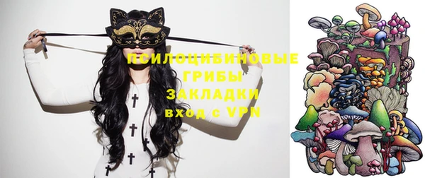 Альфа ПВП Бердск