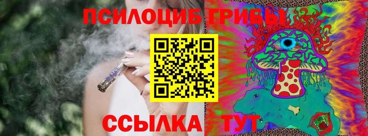 Псилоцибиновые грибы прущие грибы  Вход с VPN  Вязьма 