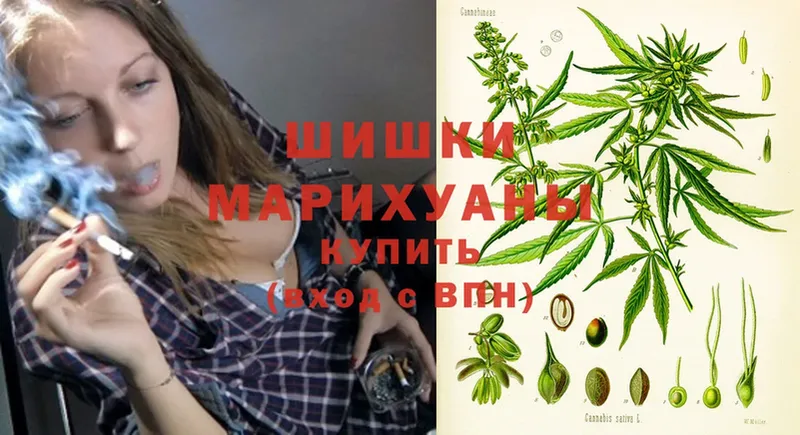 ОМГ ОМГ маркетплейс  Вязьма  МАРИХУАНА Ganja 